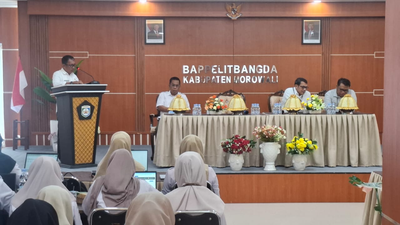 WhatsApp Image 2026-02-11 at 18-42-47