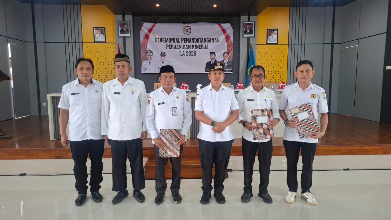 WhatsApp Image 2026-02-11 at 20-59-25