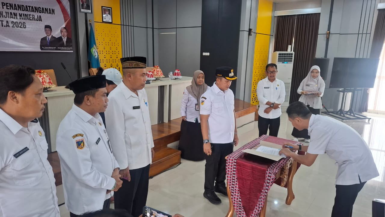 WhatsApp Image 2026-02-11 at 20-59-26