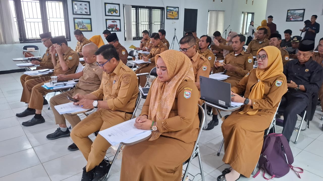 WhatsApp Image 2026-02-11 at 18-57-39 (1)