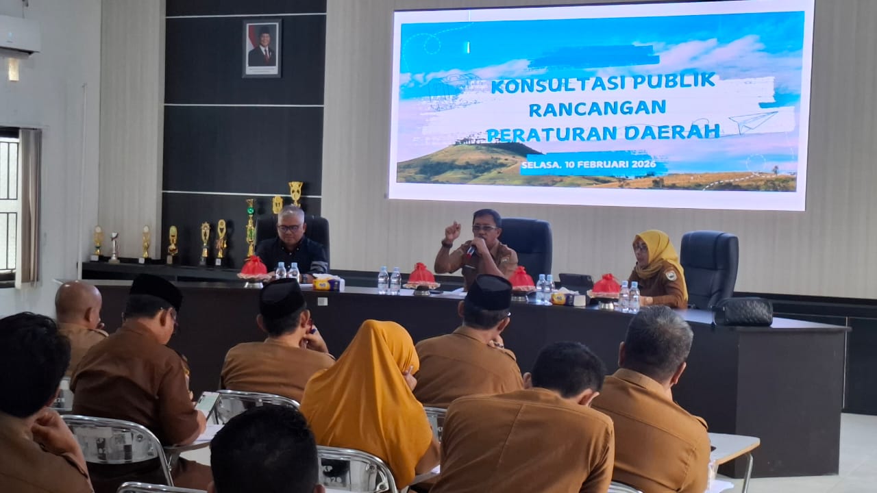 WhatsApp Image 2026-02-11 at 18-57-39