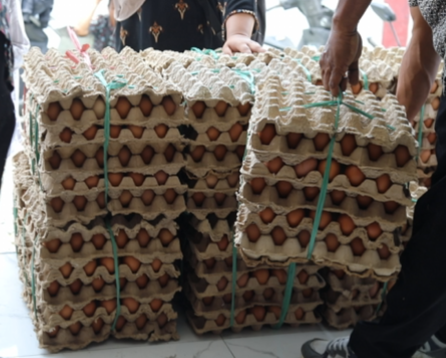 Screenshot 2026-02-12 161223