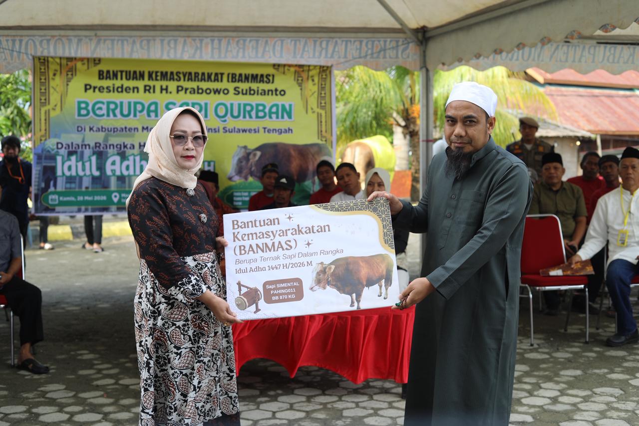 Pemkab Morowali Serahkan Bantuan Kemasyarakatan Presiden RI Berupa Sapi Kurban Ke Masjid Islamic Center