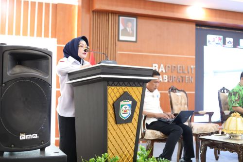 Wabup Iriane Buka Rapat Koordinasi Daerah 2 : integrated City Planning (ICP) Kabupaten Morowali