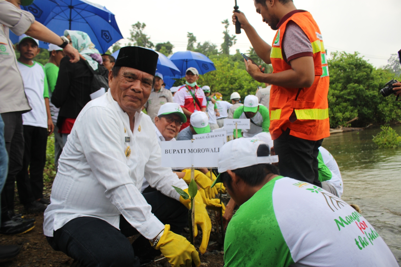 HIJAUKAN LINGKUNGAN , TANAM 50.000 POHON